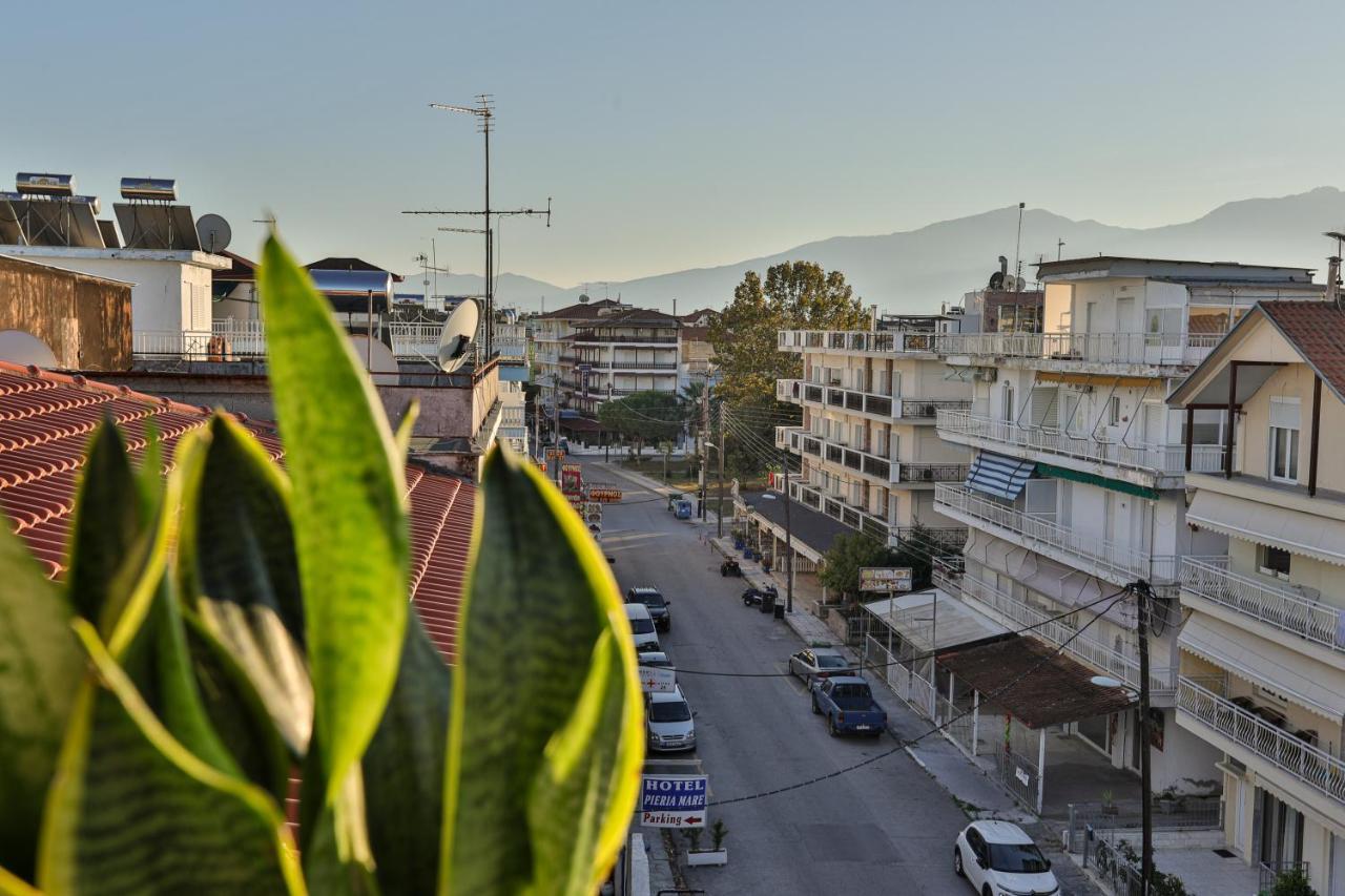 公寓 Alarzo Paralia Katerinis